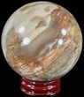 Colorful Petrified Wood Sphere #49759-1